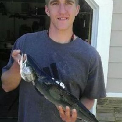 Profile Picture of Adam Pauley (@asmadmufc) on Twitter