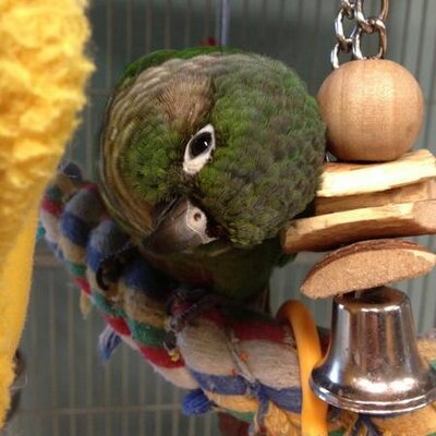 Profile Picture of Jessy Wilson (@JessRobin77) on Twitter