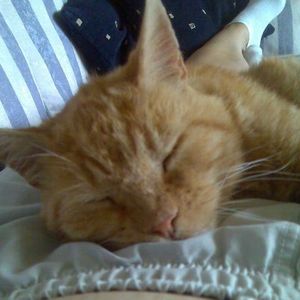 Profile Picture of Julie Campion (@413709314) on Myspace