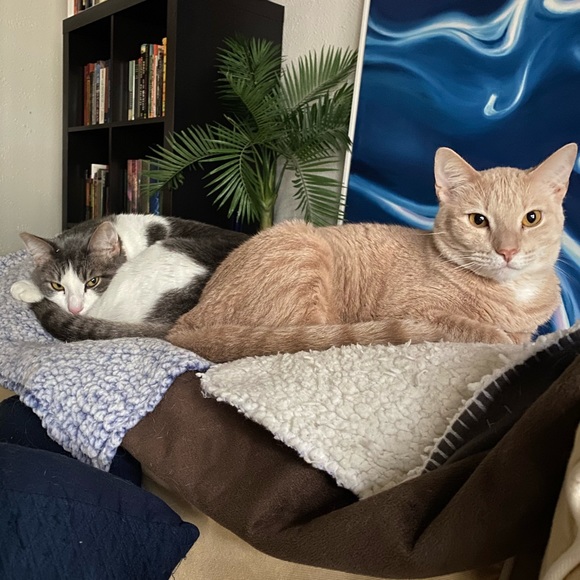 Profile Picture of R Allton (@rallton) on Poshmark