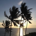 Profile Picture of John Kwiecinski (@johnmichaelpaul) on Instagram