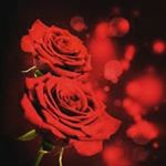 Profile Picture of Ashlee Gilliam (@ashlee.gilliam.395) on Instagram