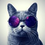 Profile Picture of sarah treece (@sarah_treece) on Instagram