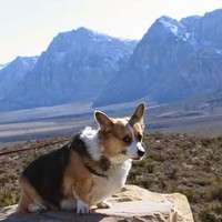 Profile Picture of Katherine Quinn (@katherine-quinn-35) on Quora