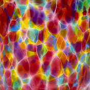 Profile Picture of Steven Seiler (@stevenseiler2767) on Youtube