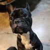 Profile Picture of Jason Dayberry (@@jasondayberry84) on Tiktok