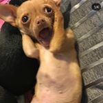 Profile Picture of marlene haro (@fatasskellypricee) on Instagram