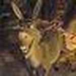 Profile Picture of trinity_me (@trinity_me) on Flickr