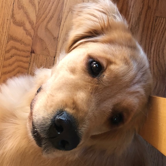 Anna Grzegorski - Poshmark Profile Picture of Anna Grzegorski (@agagadvantage) on Poshmark