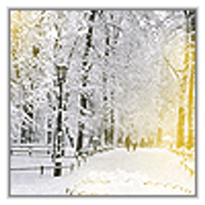 Profile Picture of Terry Swann (@TerrySwann1) on Twitter