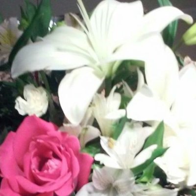 Profile Picture of Jessica C (@JessicaCurry128) on Twitter