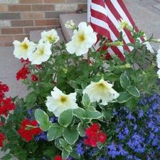 Profile Picture of Jodi Slade (@@jodiwslade) on Twitter