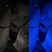 Profile Picture of Jessie Workman Kolvis (@Jessie-Workman-Kolvis) on Facebook