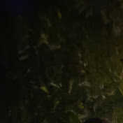 Profile Picture of Eliud Rodriguez (@eliudrodriguez7318) on Youtube