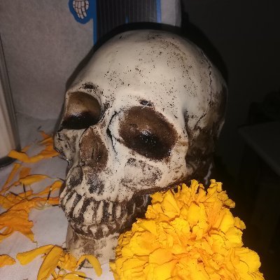 Profile Picture of Trosky (@Mike180391) on Twitter