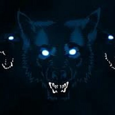 Profile Picture of Benjamin Collard (@jasmin51170) on Twitter