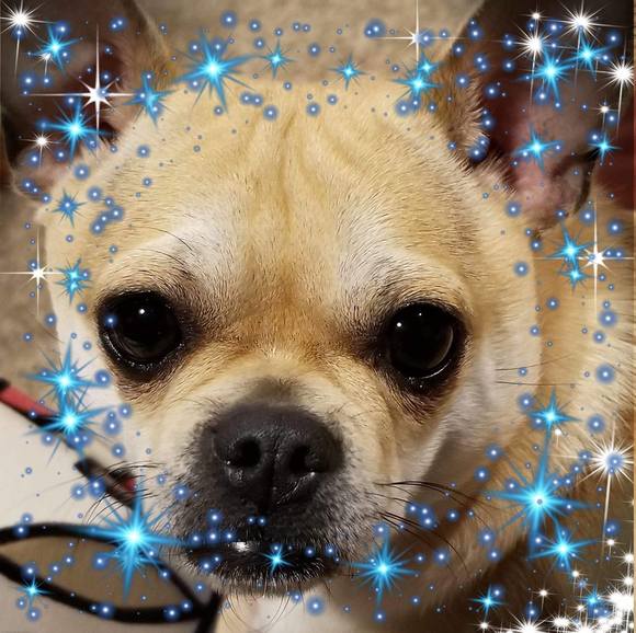 Profile Picture of Mary Ridenhour (@mare597) on Poshmark