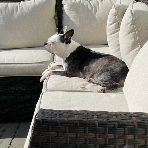 Profile Picture of Ladonna Prutzman (@ladonnaprutzman) on Poshmark