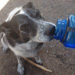 Steve Valenzuela - Instagram Profile Picture of Steve Valenzuela (@omcvegas) on Instagram