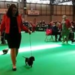 Profile Picture of Carole Garner (@carole_porteous) on Instagram
