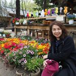 Profile Picture of Panjan Vongvanich (@panjanvongvanich) on Instagram