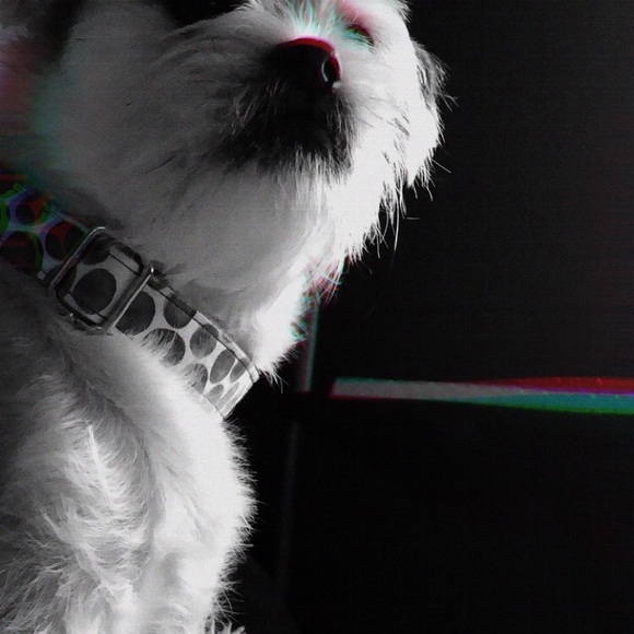 Profile Picture of Erica Johnson garrick (@ericadawn76) on Poshmark