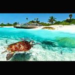 Profile Picture of Nathan_lower (@nathan_lo9034) on Instagram