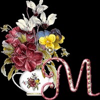 Profile Picture of Manoj Purohit (@manoj-purohit-9) on Quora