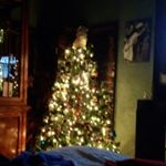 Profile Picture of kyle (@kyleschindler123456789) on Instagram