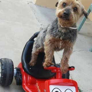 Profile Picture of Richard Brau (@richard.brau.7) on Facebook