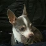 Profile Picture of Patrick Connolly (@patrick_connolly_15) on Instagram