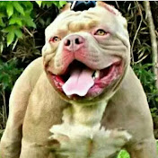 Profile Picture of Kevin Lunsford (@kevinlunsford2763) on Youtube