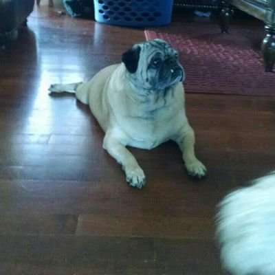 Profile Picture of Dylan Lyon (@dylanlyon665) on Twitter