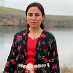 Ayşe Sürücü - Instagram Profile Picture of Ayşe Sürücü (@aysesurucu_hdp) on Instagram