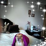 Profile Picture of Ginny Lambert (@ginnylamb5) on Instagram