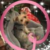 Profile Picture of Joy Hummel (@@joyhummel1) on Tiktok