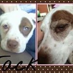 Profile Picture of Eric Perrigan (@trouble8219) on Instagram