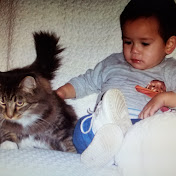 Profile Picture of Zachary Stephens (@zacharystephens9203) on Youtube