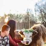 Profile Picture of Amber Schiller (@amberlschiller) on Instagram