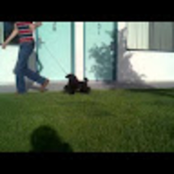 Profile Picture of Barb Tannahill (@barbthill) on Poshmark