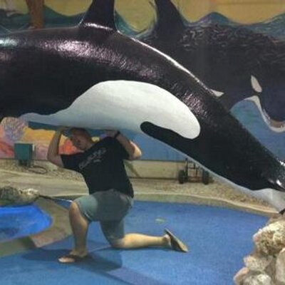 Profile Picture of Nathan Heselbach (@kawasakiknate) on Twitter