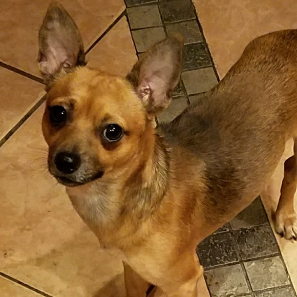 Profile Picture of Leonard Bolden (@leonard_bolden) on Poshmark