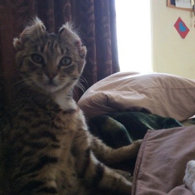 Elliot Bethell SAMs - Twitter Profile Picture of Elliot Bethell SAMs (@EsamsSams) on Twitter