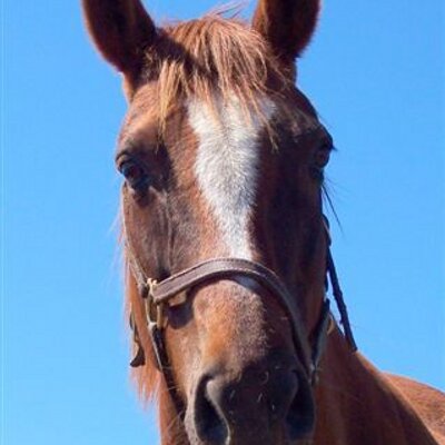 Profile Picture of Jeff Deets (@TopOfTheStretch) on Twitter