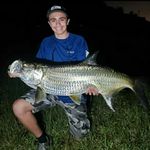 Profile Picture of Robert Di Nino (@robert_di_nino) on Instagram