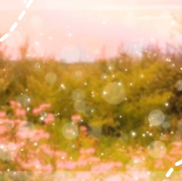 Profile Picture of Caitlyn Fuehrer (@caitlynfuehrer) on Poshmark