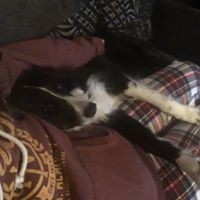 Profile Picture of Kelly Burrell (@kelly-burrell-1) on Quora