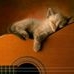 Profile Picture of Doris Addison (@doris.addison.7777) on Facebook
