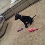 Profile Picture of chase huss (@huss.chase) on Instagram