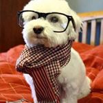 Profile Picture of 赵玉林 (@zhaoyulin9917) on Instagram